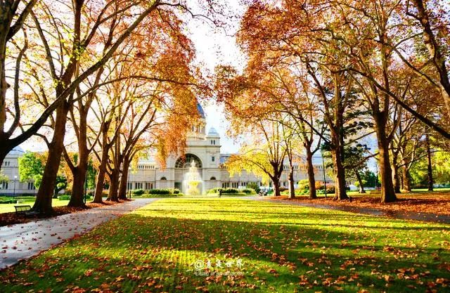 2020十大网红目的地,百万网红四处旅游