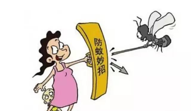 蚊香驱死很多蚊子,没点蚊香家里有很多死蚊子