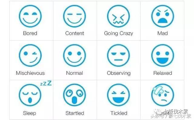 可发声玩具狗狗,会说话的宠物玩具耐咬解闷神器