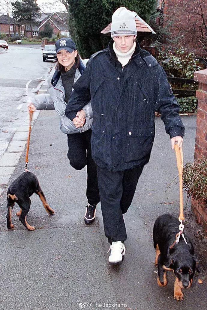 维多利亚夫妇是离婚了吗,维多利亚的婚姻现状