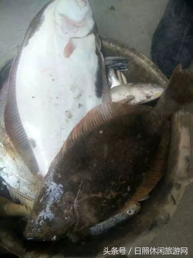 日照房价,日照金山