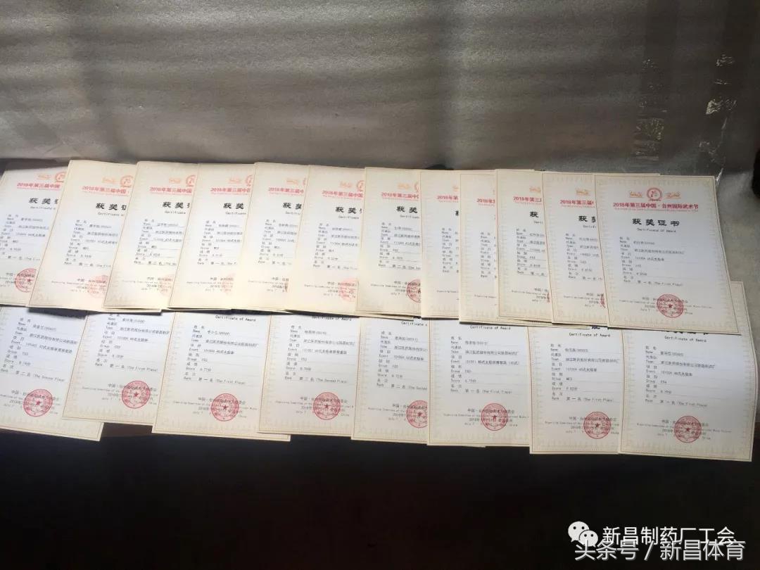 太极冠军中的冠军,太极队荣获金牌