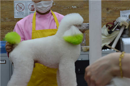 学美容包括哪些方面,学美容好吗前途怎样