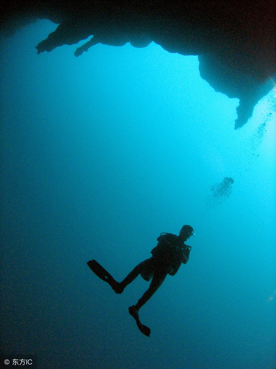 一生必去的浮潜胜地,世界十大浮潜胜地