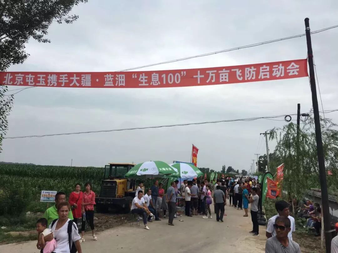 10万亩作业，大疆农业携手北京屯玉，保卫通辽玉米