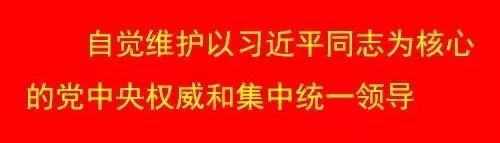 有山寨版的微信吗,山寨版微信什么样的