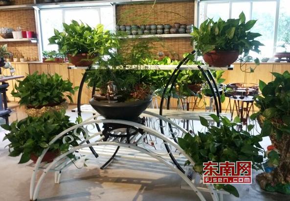 「乡村振兴巾帼行动」莆田张谋婧：因水晶泥滞销与花结缘小门店跃升为公司