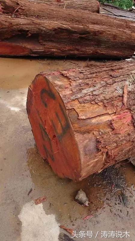涛涛说木,涛涛说实木