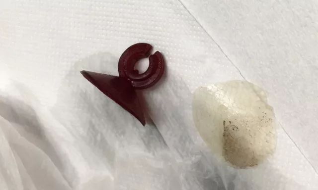 龙鱼快死的视频,龙鱼吞食异物正确的处理方法