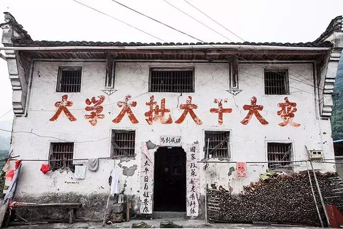 jack鍟嗕笟,jack鎽勫奖浣滃搧