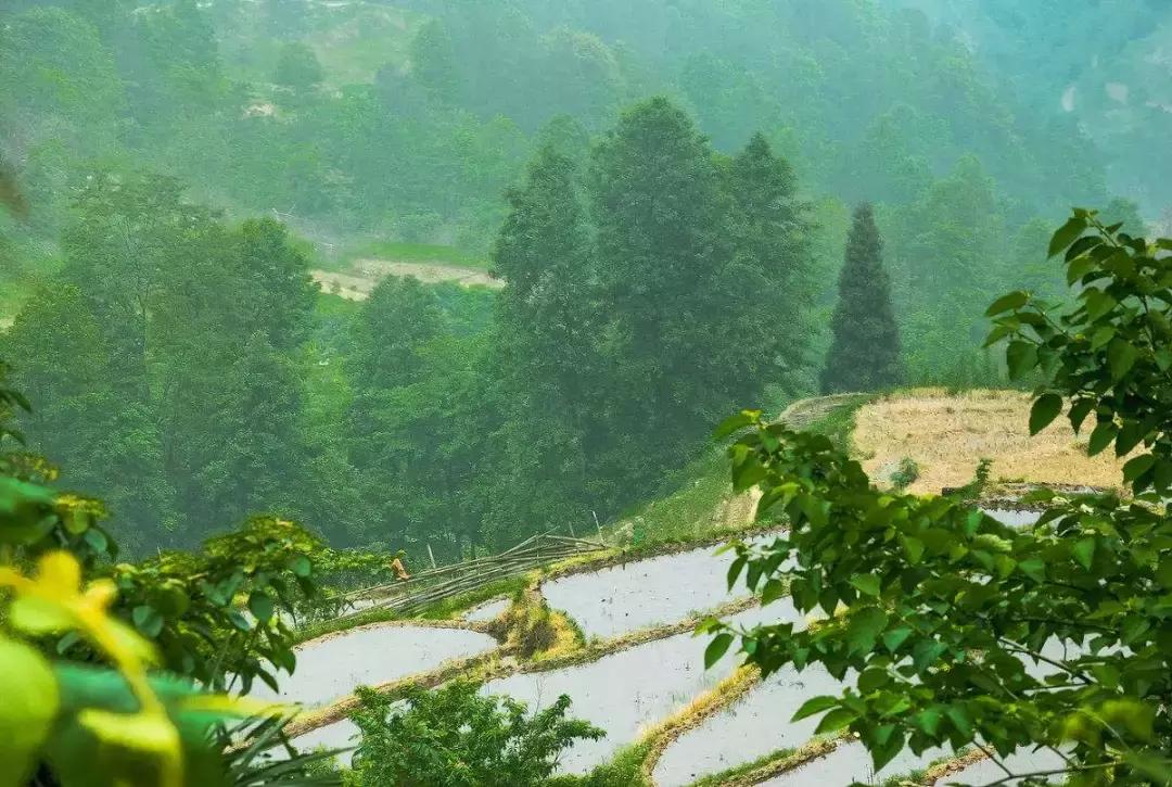 振兴乡村战略实施方案,金融扶持乡村振兴战略