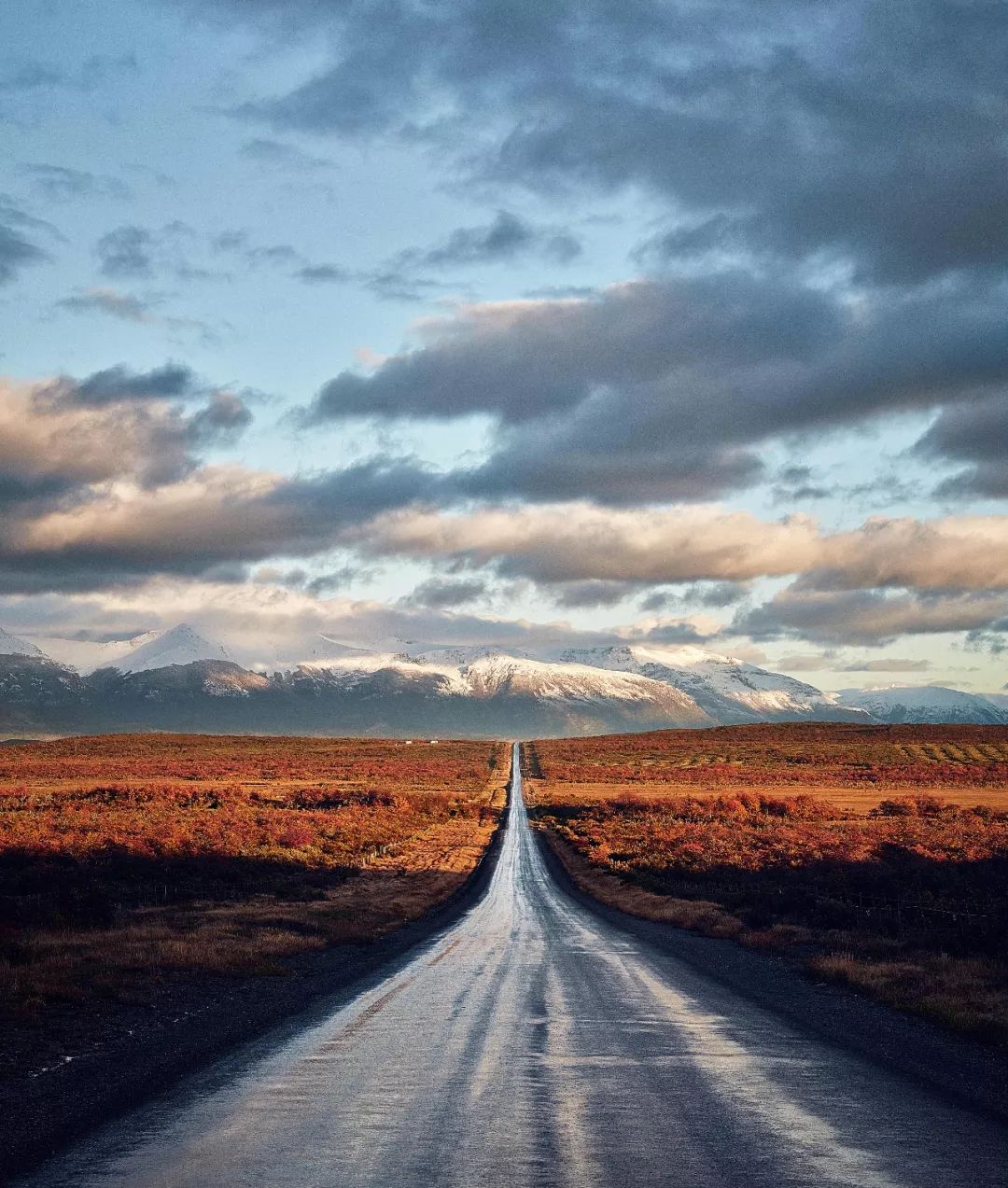 “正因为遥远又荒凉，我才选择去巴塔哥尼亚”