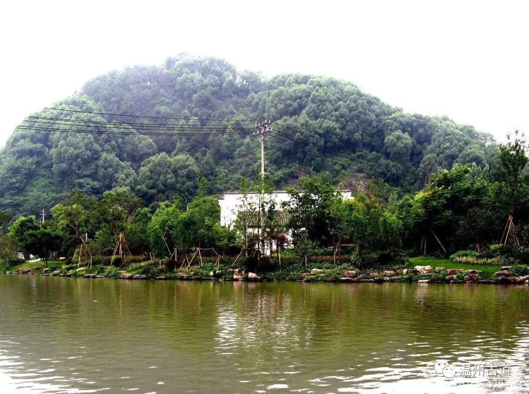 南白象塔全景图,南白象公园