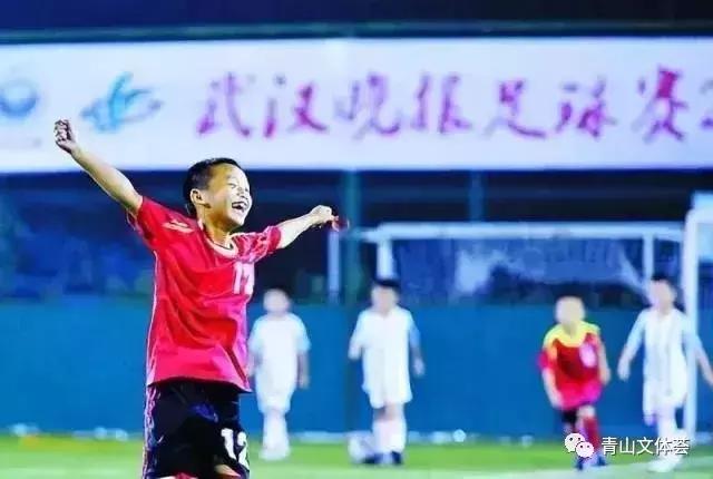 戴家湖附近足球场,戴家湖公园足球场免费吗