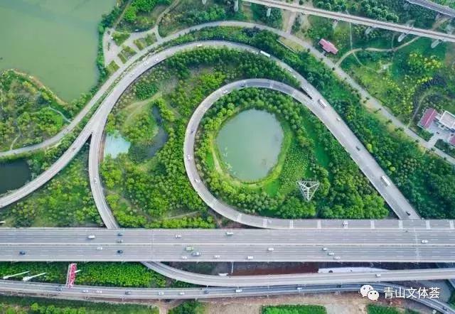 戴家湖附近足球场,戴家湖公园足球场免费吗