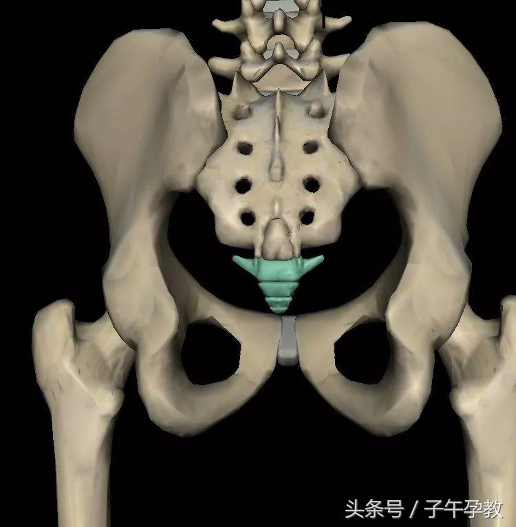 孕期坐久了屁股尾骨疼是怎么回事,孕妇久坐尾巴骨疼怎么回事