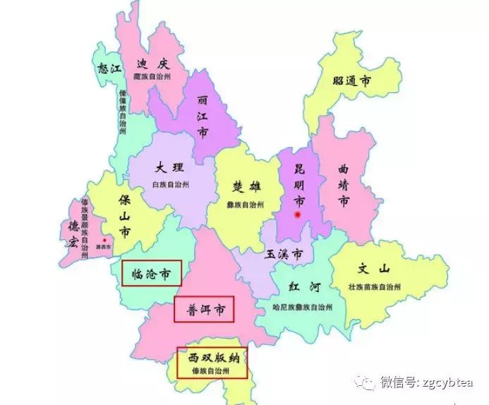 喝了好多年的普洱茶,喝了三年的普洱茶