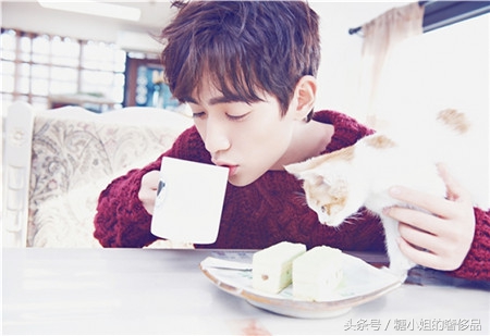 居老师美照惊艳,居老师为什么这么帅