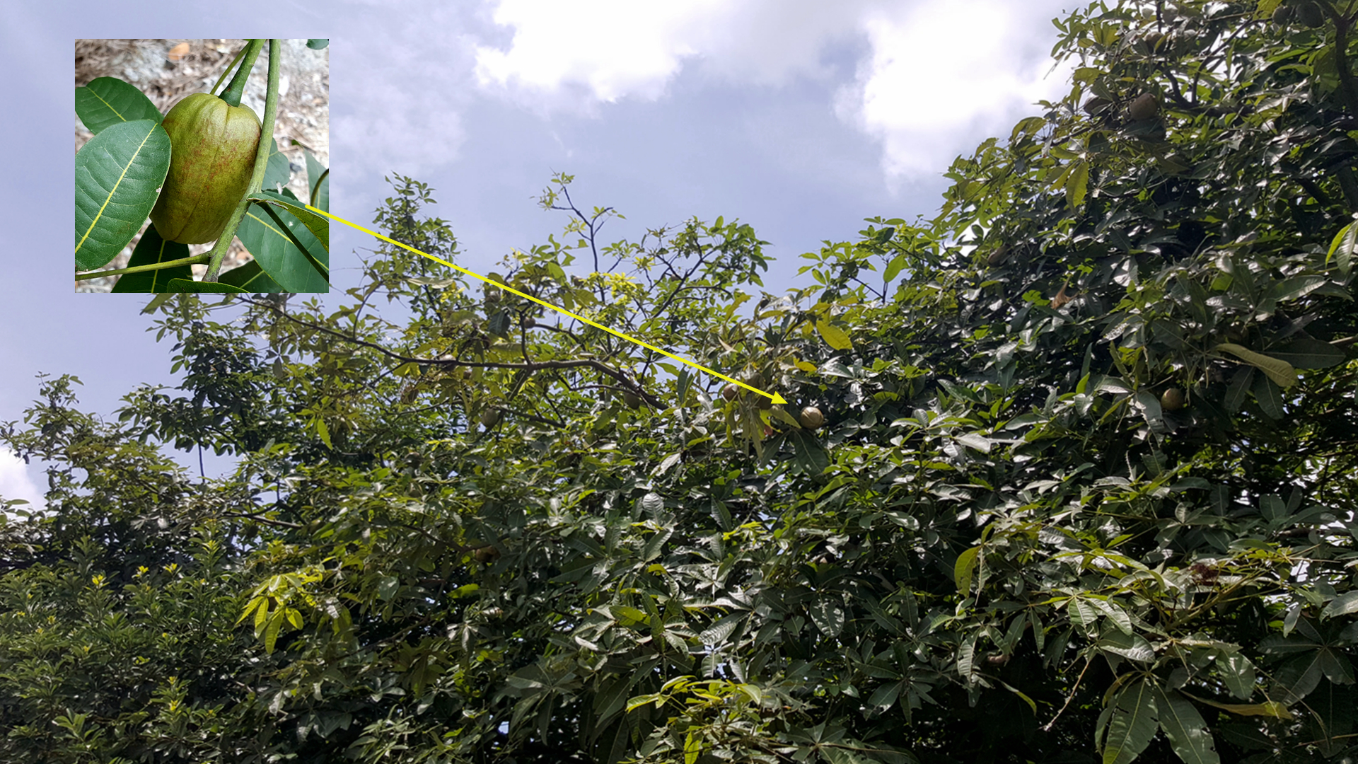 中国沿海旅行D14,金沙湾,遇见优雅女子就是人生最美好时刻