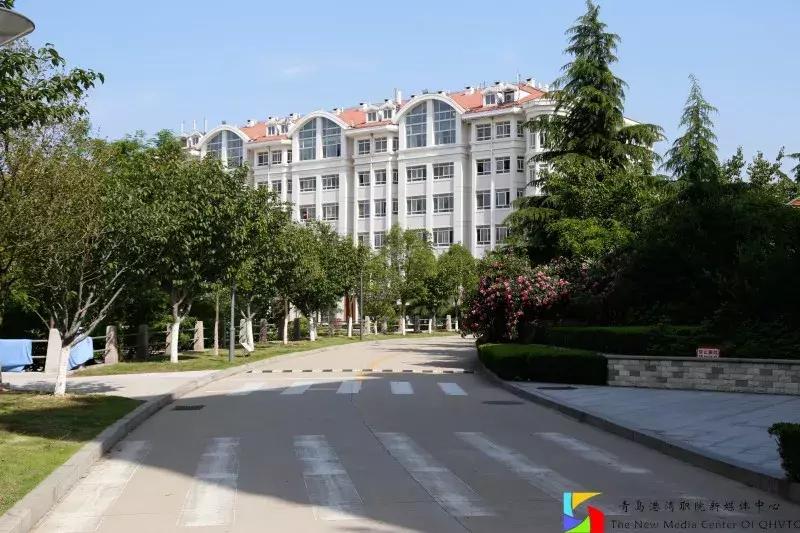 青岛港湾职业学院报考条件,青岛高考志愿填报推荐