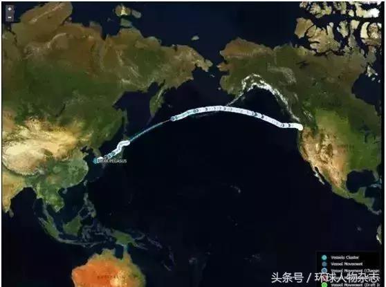 十问美国全文原版,特朗普关税对美国贸易的影响