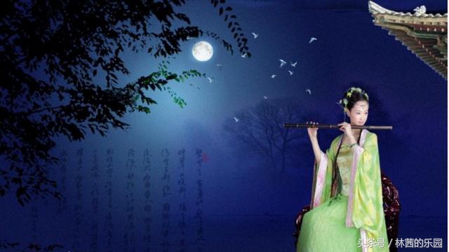 关于明月的诗句大全唯美,明月最美十首诗