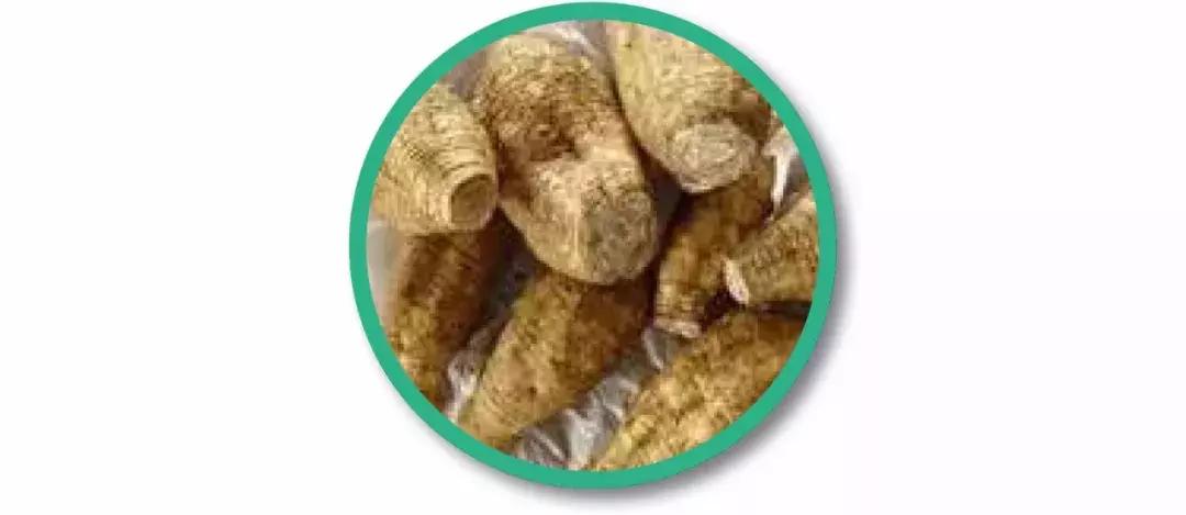 王子印度,王子印度尼西亚