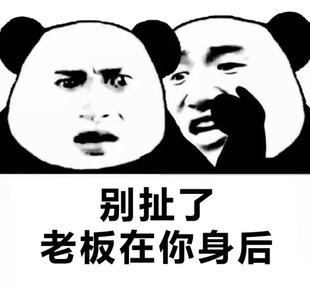 多媒体软件应用,多媒体编辑软件