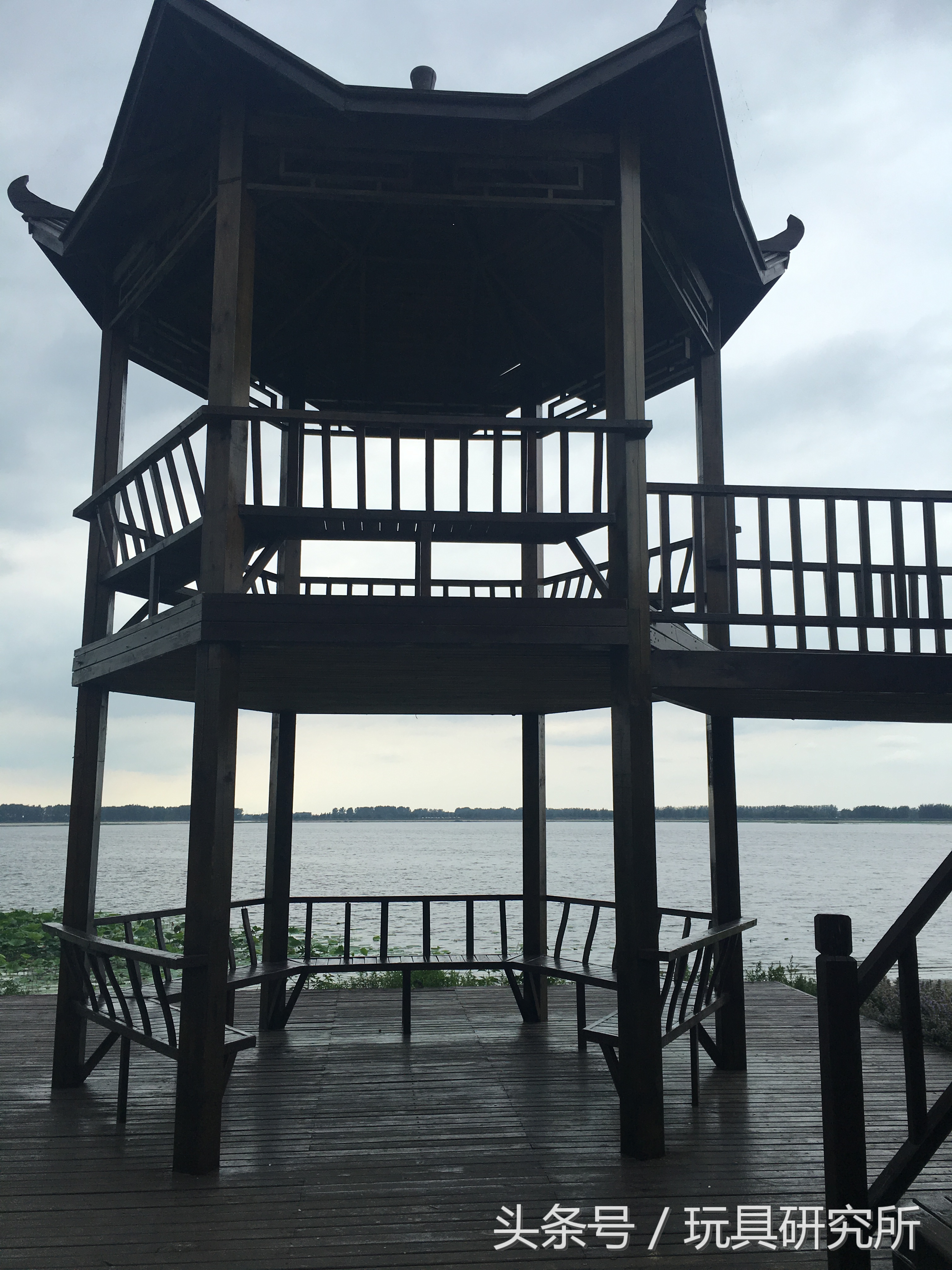 辽中珍珠湖看荷花带着孩子去哪儿玩珍珠湖环湖游沈阳周边游