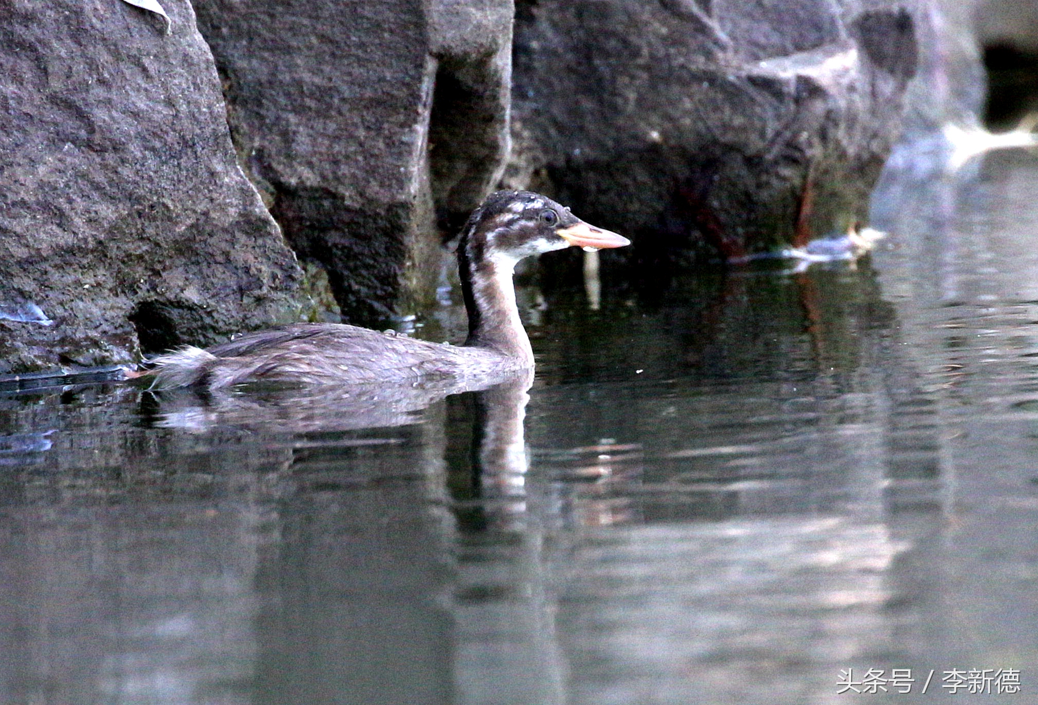 佳能5d3配24105镜头拍人像,佳能5d3501.8镜头拍合照