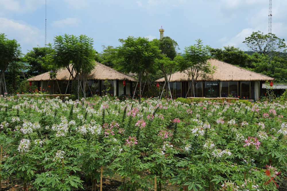 暑假带孩子逛公园,带孩子玩跳楼