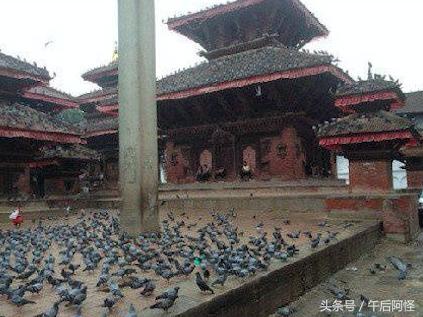 尼泊尔印度斯里兰卡穷游篇 (尼泊尔1000元穷游攻略详细版)