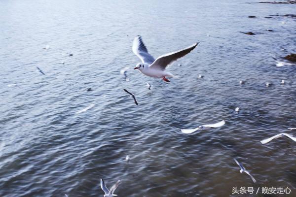 员工晨会分享正能量5分钟,晨会员工分享正能量一段话及感悟