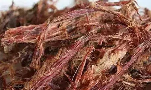 适合带孩子去的美食推荐城市,5-6岁儿童旅游必吃美食