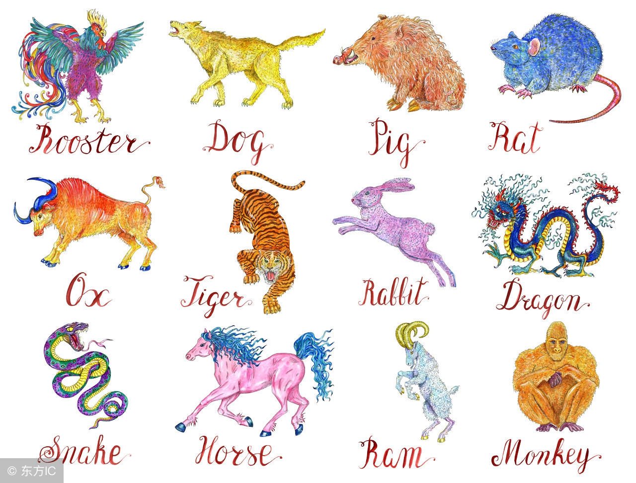 十二生肖最佳姻缘配对指数,十二生肖最佳姻缘配对全部对照表