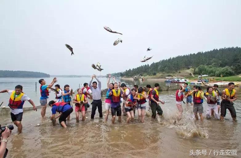 焦岗湖荷花节时间,淮南焦岗湖旅游风景区
