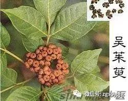 中西药别随便合用,哪些中西药不能同服