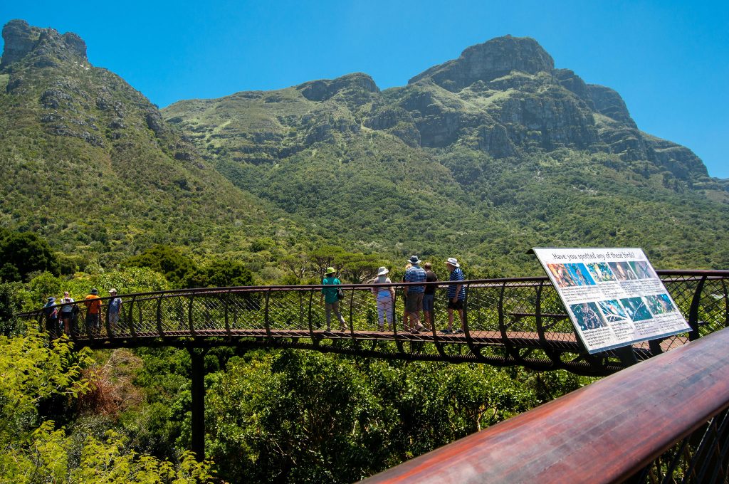 彩虹之国为什么是南非,跟着国博去旅行