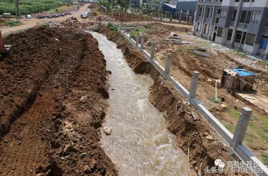 四中学校死人案,四中学校学生死亡事件