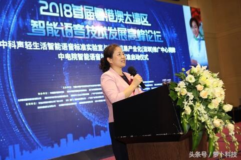 政策力促人工智能产业发展,大湾区人工智能峰会