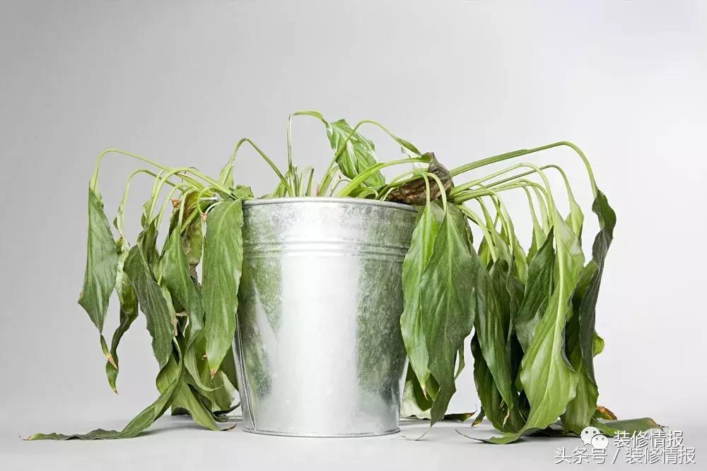 如何进行靠谱的室内甲醛检测,室内空气甲醛检测方法国标