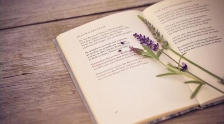 代购毒品如何认定牟利,居间介绍和代购毒品处理