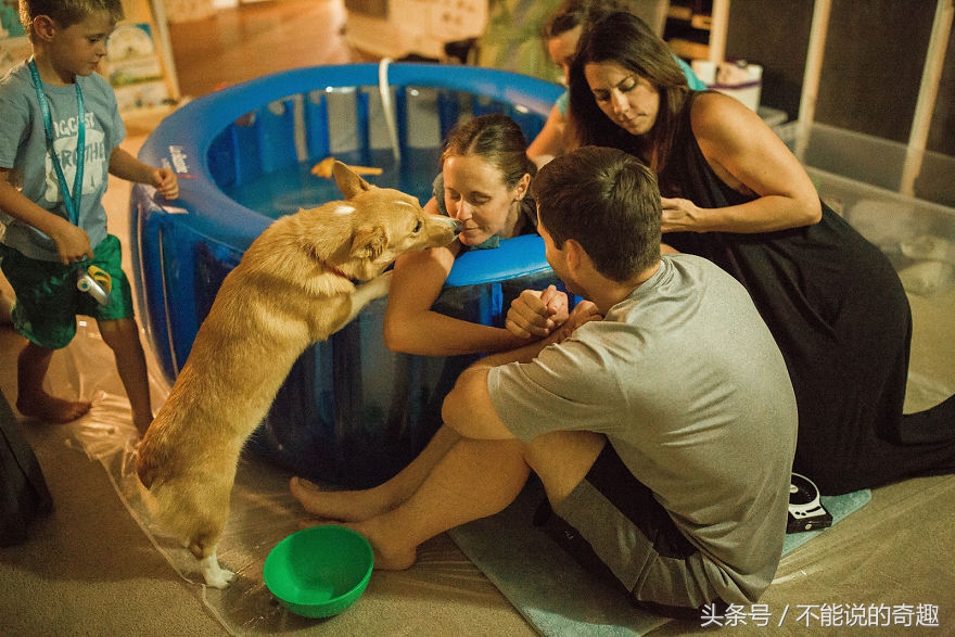 可能你不会知道你家里的这些“家人”是如此的深爱着自己