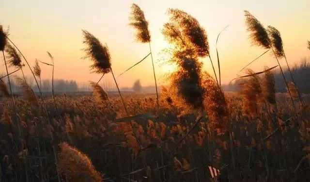 郓城水浒之乡好汉故里,郓城是好汉之乡吗