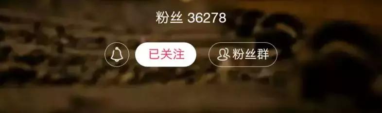 淘宝直播一天两万单,淘宝直播4小时2000元