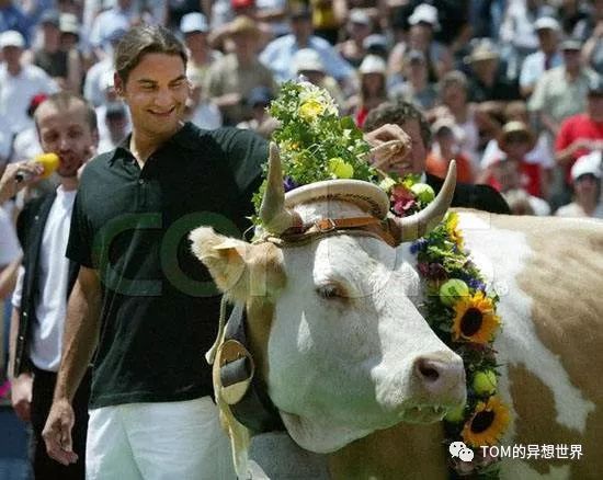 我的网球精彩集锦,浪漫网球情缘