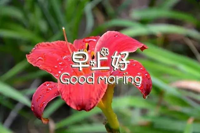 早上好祝福语优美句子图片大全,早上好祝福语优美句子冬天