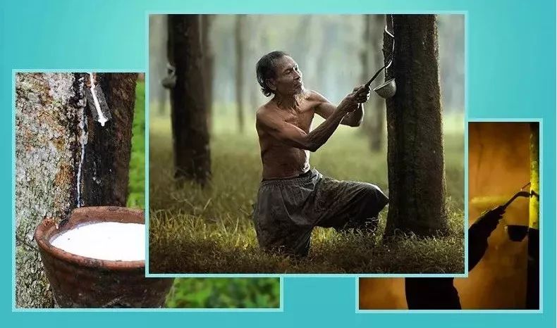 泰国天然乳胶枕专场99包邮,泰国正品保真乳胶枕