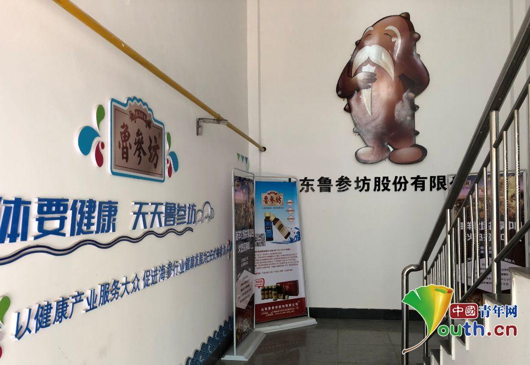 山东威海传销曝光,威海传销案件最新消息名单