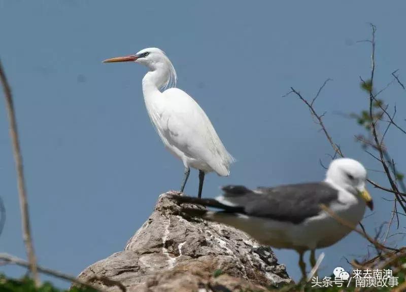 这座小岛究竟隐藏了多少秘密,一座鲜为人知的隐藏小岛